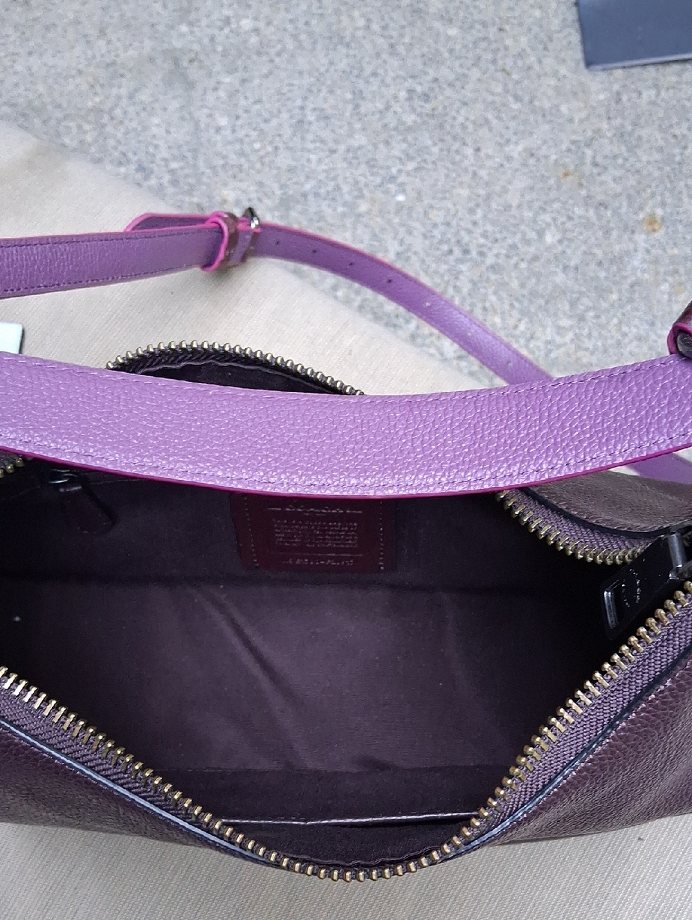 Coach Exotic Trim East/West Harley Hobo May 2017 - Picture 8 of 14